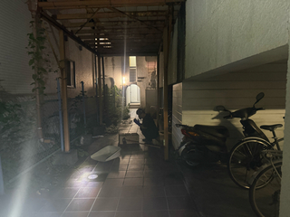 野良猫　供養　